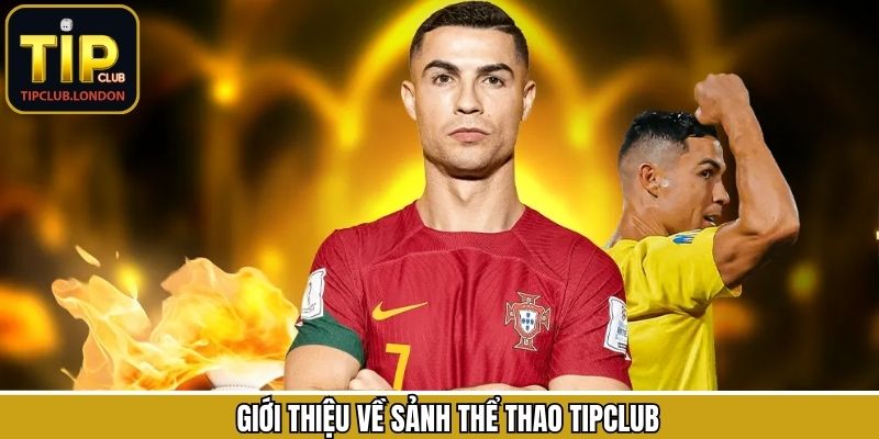 Đôi nét về sân chơi cá cược nổi tiếng tại Tipclub